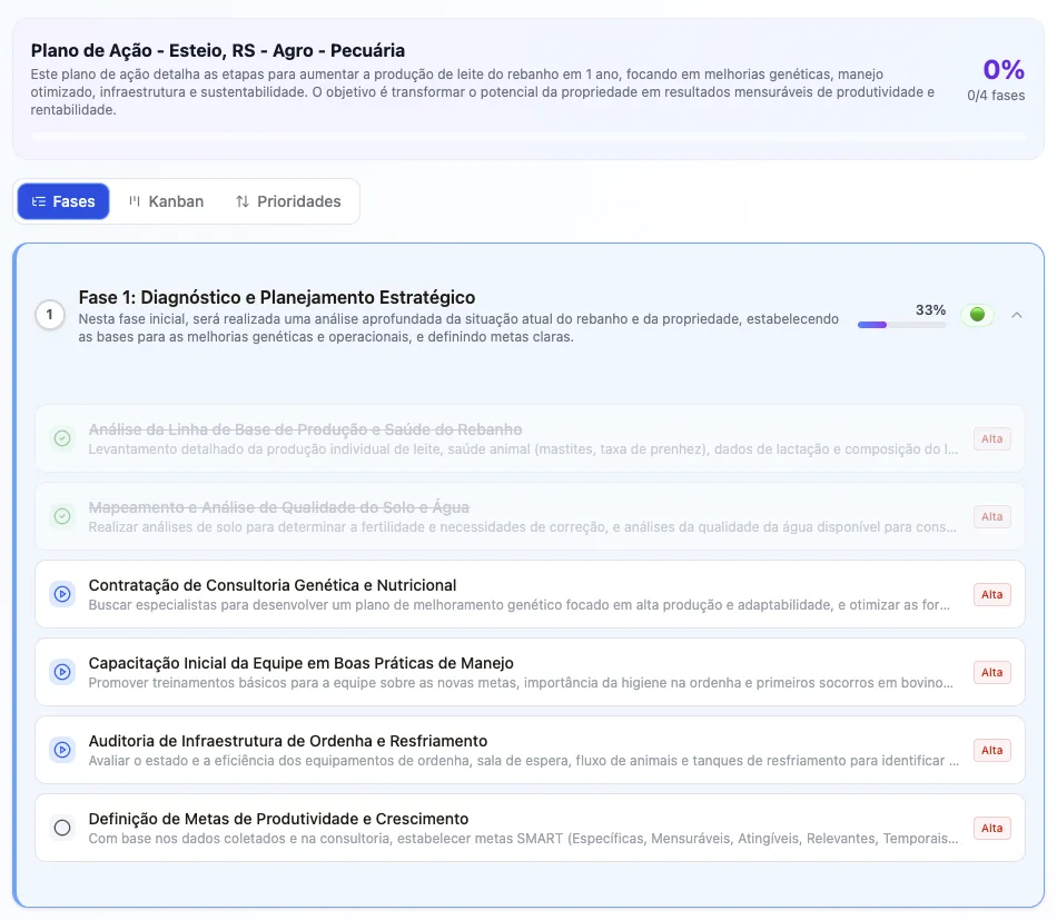 Plano de Ação com fases e tarefas no IsWiser